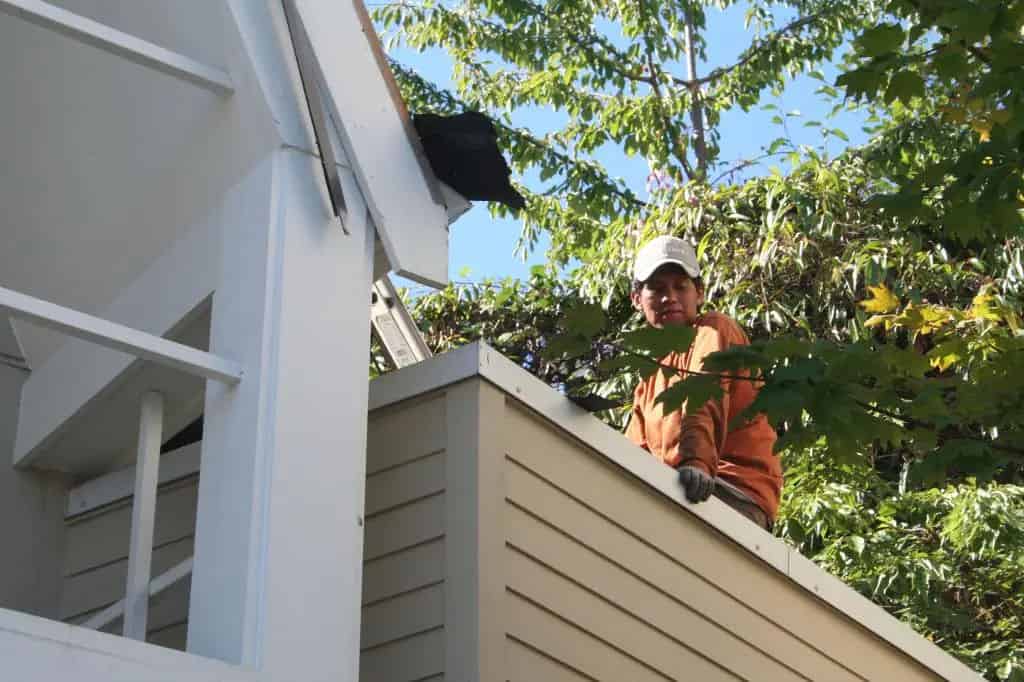 Roof Inspection image