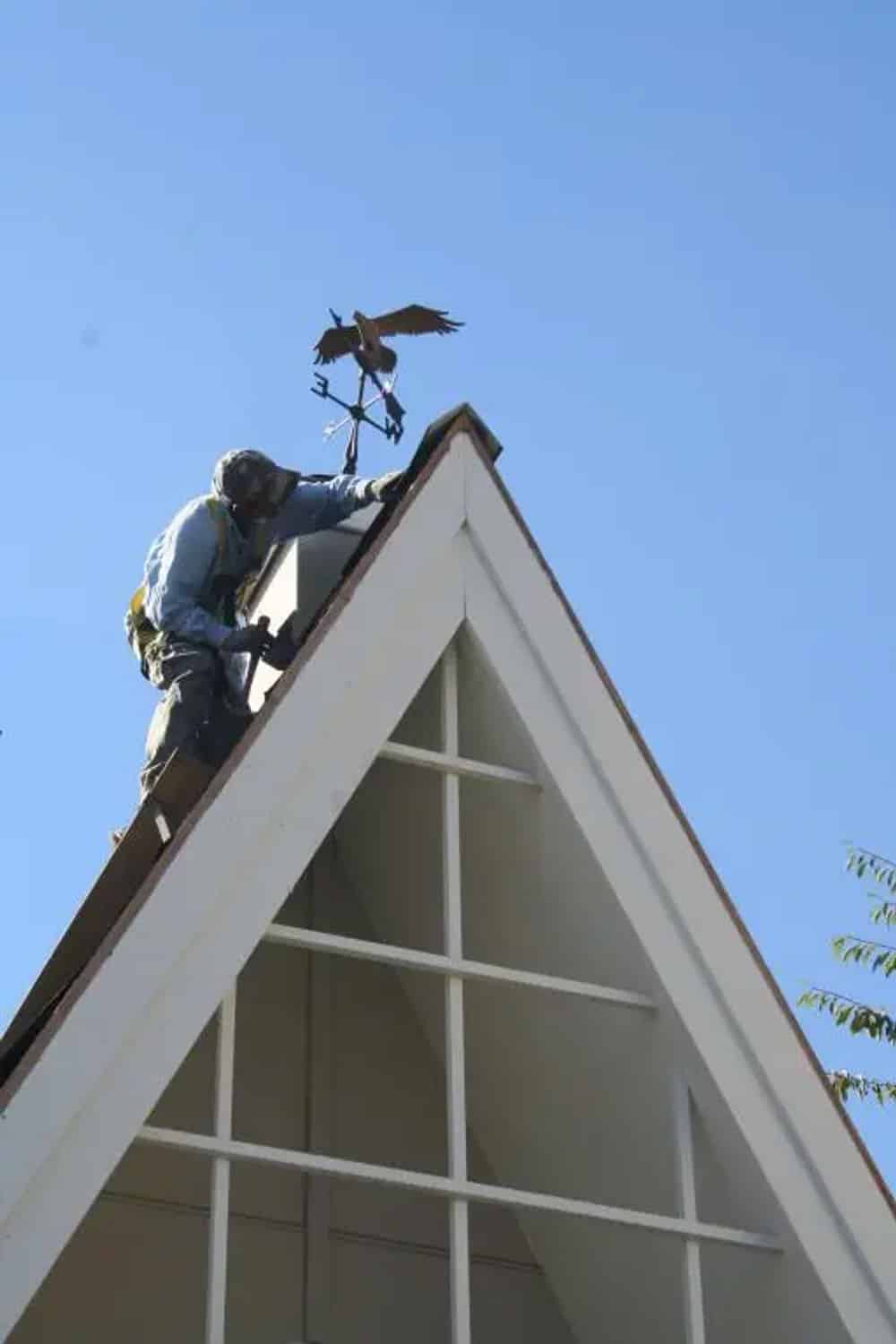 Roof Cleaning  image