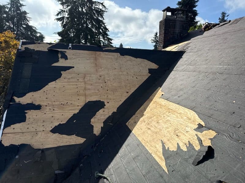 Roof Restoration with Malarkey Vista image