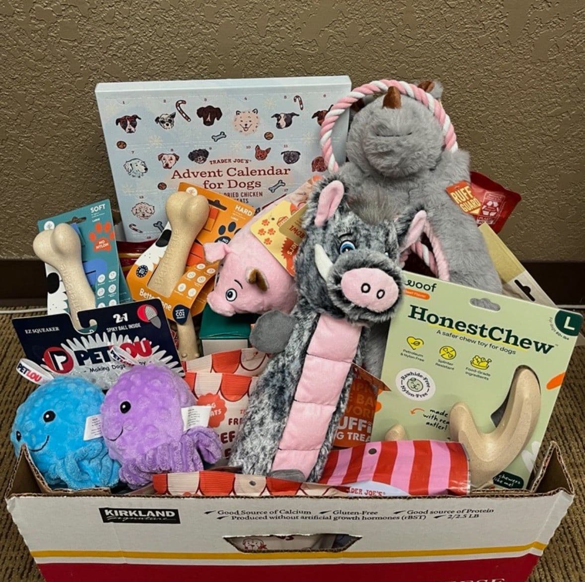 Project Celebrating Miracle - Our Fall Pet Spotlight Winner image