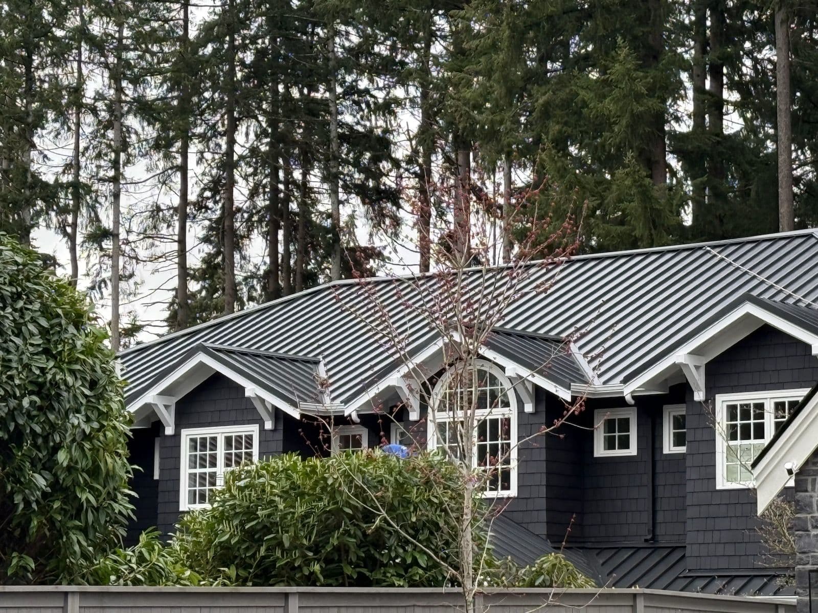 Elegant Metal Roof Complements Bellevue Home image