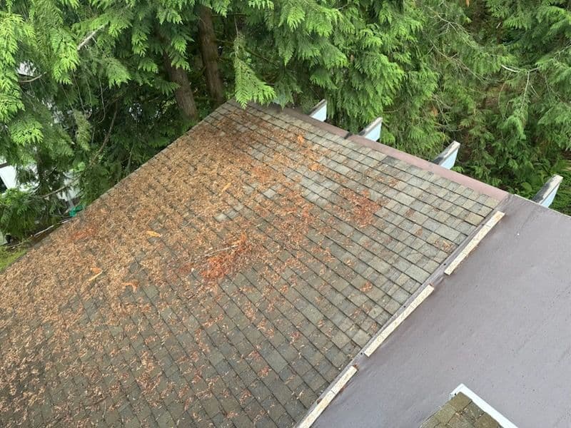 Issaquah Roof Transformation with Owens Corning Shingles image